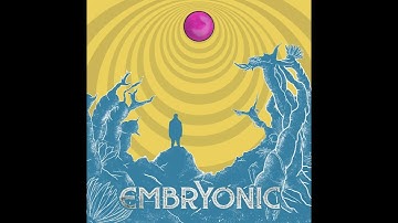 Embryonic - De Valore Doloris