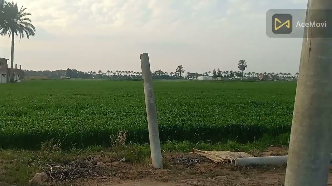 ار ض 10 فدان  بجوار قرية احمد بدوى مدينة النوبارية