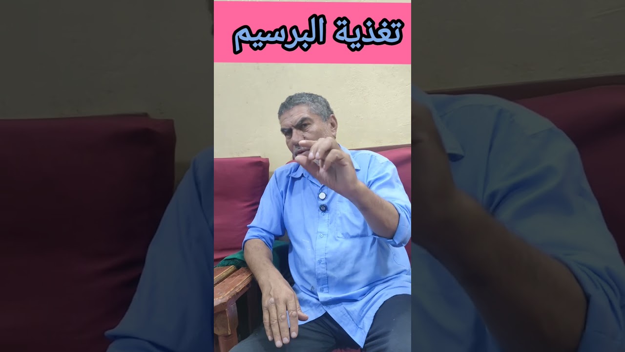 #تغذية_البرسيم