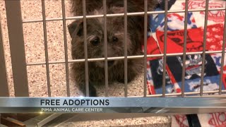 Pima Animal Care Center offering free adoptions