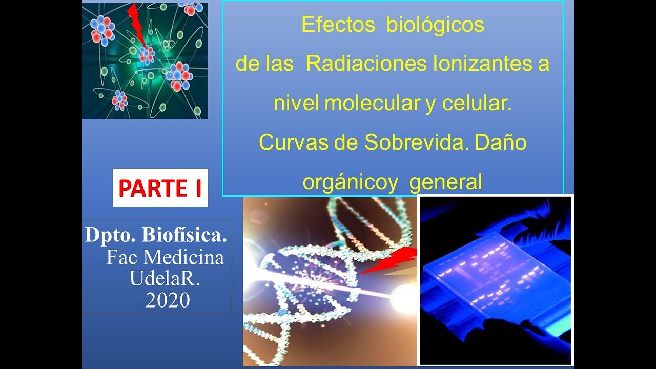 Efectos biológicos de Rad.Ion. a nivel molecular y celular. Curvas Sobrevida- BCP - Parte 1