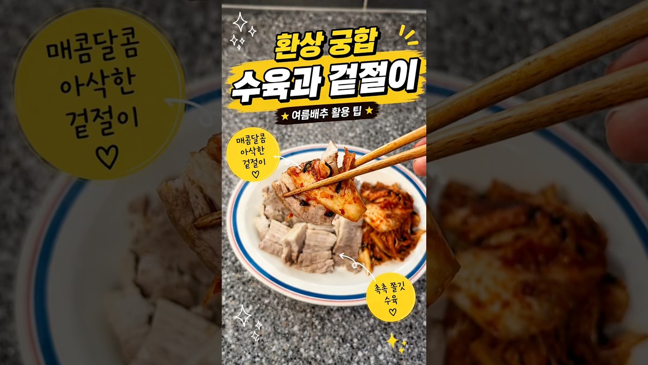 여름 배추로 겉절이 만들고 수육까지! 환상의 궁합 레시피 레시피 숏폼 썸네일