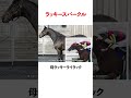 来年のダービー馬は？ステゴ三連星でPOGを勝つ！