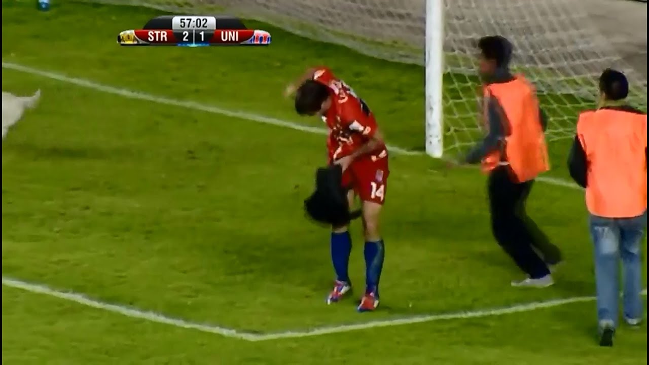 Three cute dogs ran out at play-field and bited a football player which kicked them