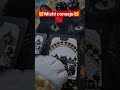 🔮🐈 Michi consejo semanal | Karen no me ignores #cute #funny #lecturacartas #viralshorts