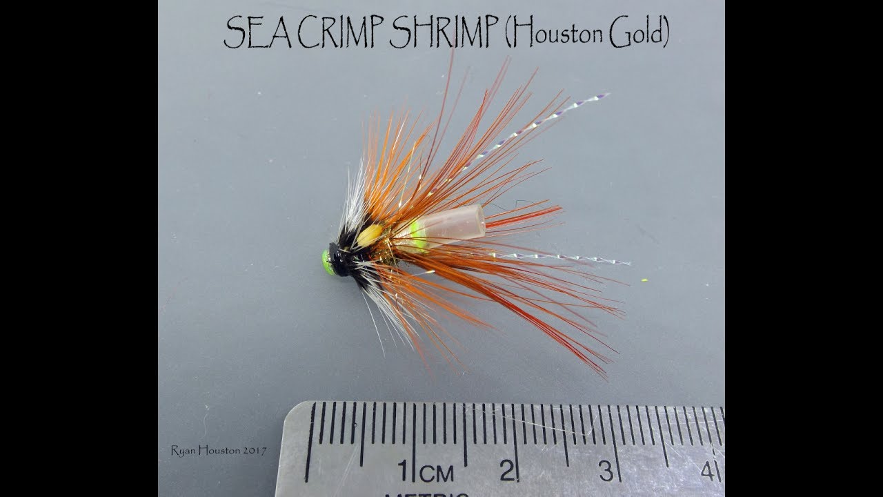 video phone beyonce mp3 TYING THE SEA CRIMP SHRIMP HOUSTON GOLD WITH RYAN HOUSTON 2017