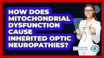 How Does Mitochondrial Dysfunction Cause Inherited Optic Neuropathies? - Optometry Knowledge Base