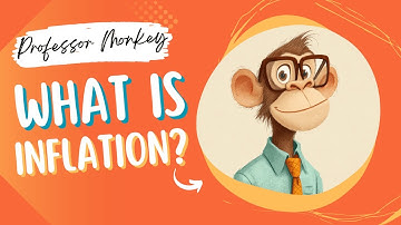 What Is Inflation? | 30-Second Economics Explained by Professor Monkey