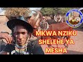 MKWA NZIKU SHELEHE YA MESHA MAJIMOTO STUDIO MKWA NZIKU SHELEHE YA MESHA MAJIMOTO STUDIO