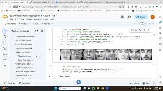 Dimensionality Reduction in Action