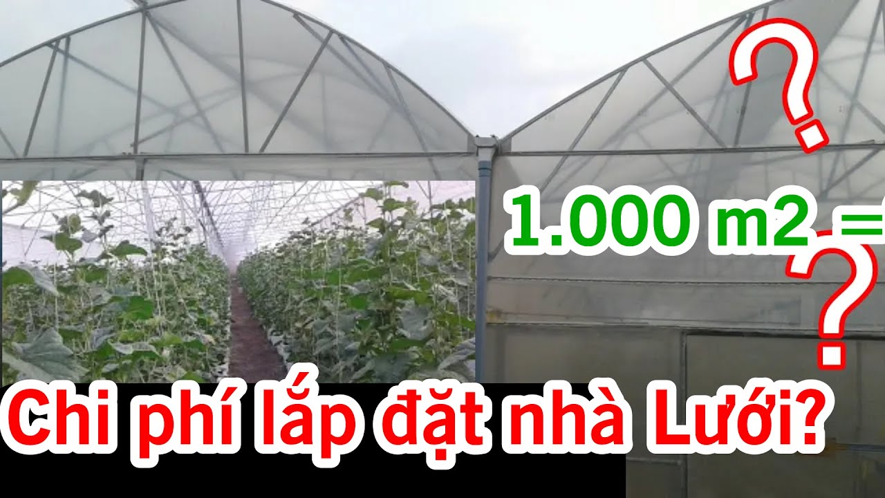 A66. Nhà màng 1000m2 bao nhiêu tiền?. chi phí lắp đặt nhà lưới công nghệ cao Israel