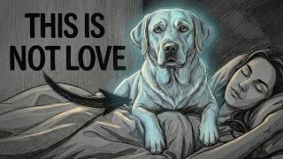 Dog Psychology | Why Do Dogs Suddenly Climb On You? (The Reason Is Shocking)