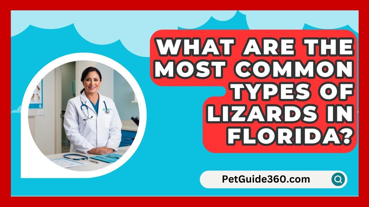 What Are the Most Common Types of Lizards in Florida? - PetGuide360.com