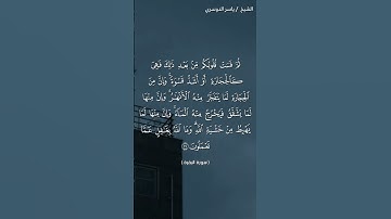 سورة البقرة (آية ٧٤) / ياسر الدوسري