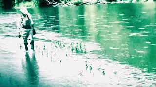 ISA Water Willow Planting