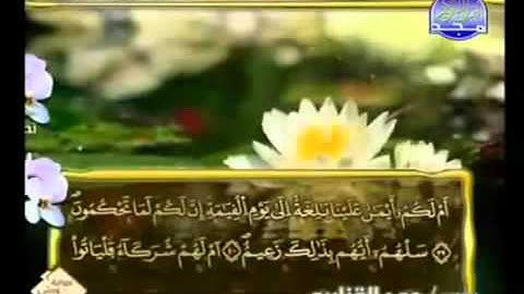 القران الكريم|الجزء التاسع والعشرون (29)|الشيخ عمر القزابري