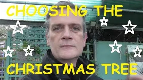 Choosing the right Christmas Tree for you #christmas #christmastree