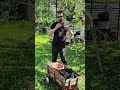 Types of Containers for Gardening #youtubeshorts #containergardening