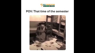 Dissertation Writing Help in Dubai #fun #memes #funny #academicwritinguae #memesdaily #foryoupageシ