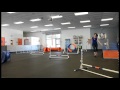 Bo's Agility run Zoom Room Bo's Agility run Zoom Room