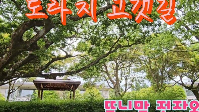 도라지 고갯길 / 김상진 / 전자올겐 경음악 / 디스코