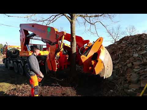 Großbaumverpflanzung - Umzug einer Linde