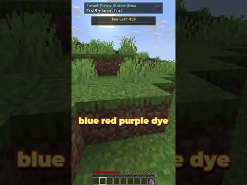 I Had 5 Minutes to Find THIS Item⏳#minecraft #shorts #gaming