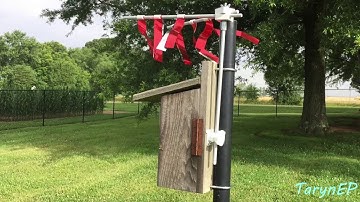 Bluebird Update #1: We have a new nest! Plus, do house sparrow spookers work?