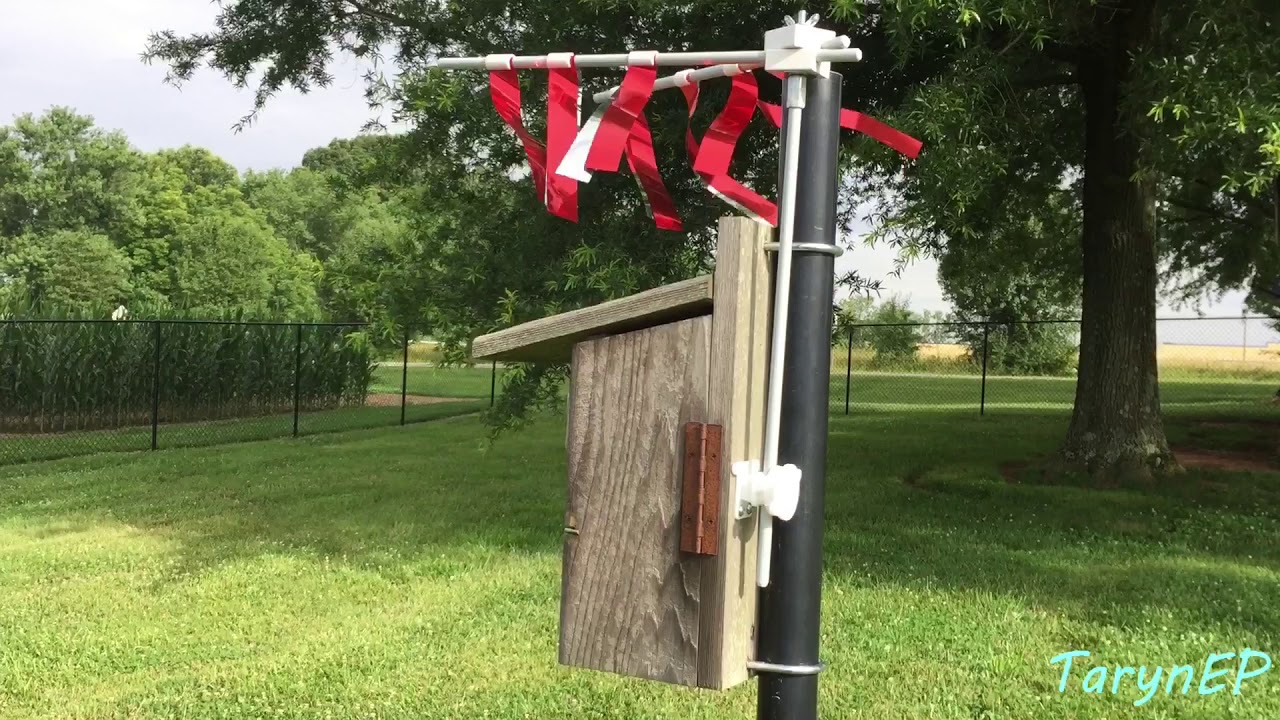 Bluebird Update #1: We have a new nest! Plus, do house sparrow spookers