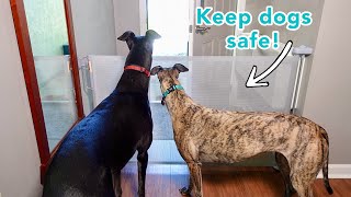 How to Easily Install a Front Door Dog Gate