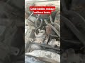 تلف قشور الكرنك في محرك السيارة ايسيزو  