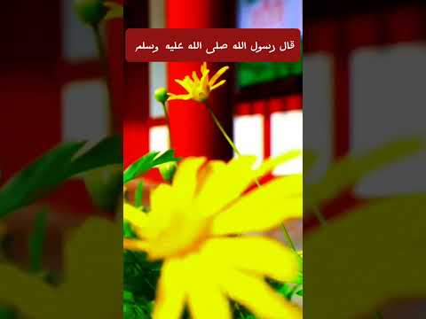 قال رسول الله صلى الله عليه وسلم إذا وجد احدكم الم في جسده فليقل سبع مرات