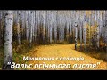 Нетрадиційне малювання + аплікація &quot;Вальс осіннього листя&quot;