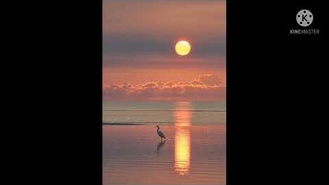 أواخر الحشر للقارئ رعد الكردى