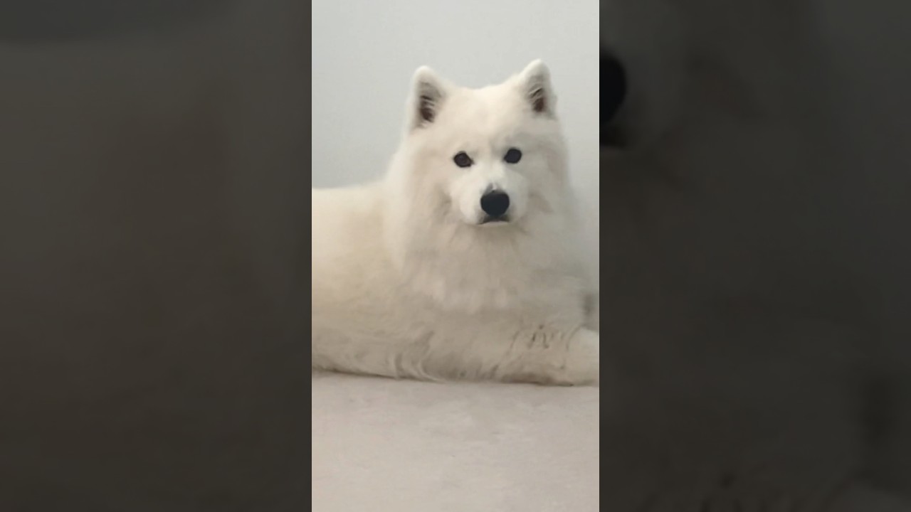 You kinda smell…🫢