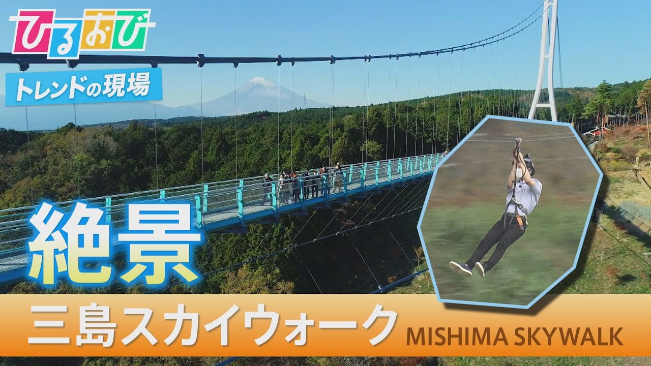 きよ（バードアスレチック・吊り橋3本） 3080midoharo | お久しぶりにオーダーをいただきました