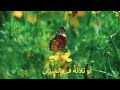 نشيد الفعل المجرد و الفعل المزيد 