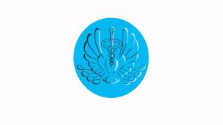PHOENIX LOGO ANIMATION