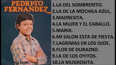 Pedro Fernández SUS MEJORES CANCIONES (MIX DE EXITOS ROMANTICOS