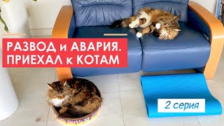 :   , 2 .   ,  