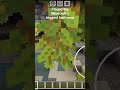 Minecraft biggest lush cave found #viral #lushcave