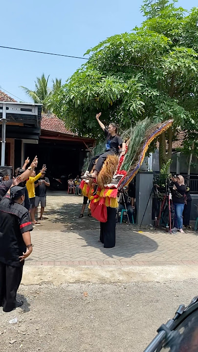 ALVI ANANTA NAIK DADAK MERAK