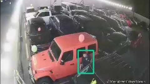 Ballons on Car but Camect AI Still Detects Person