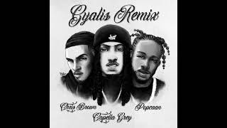 GYALIS (Remix) (Clean) - Capella Greycfeat. Chris Brown & Popcaan Resimi