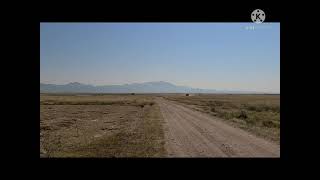 starting the driveway on the off grid lot