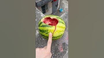 Experiment: Will a watermelon or pineapple explode if it rolls down from a tall building?🍉🍍#shorts