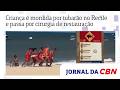 Criança é mordida por tubarão no Recife e passa por cirurgia de restauração