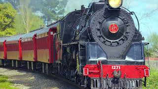 Train horn fading sound screenshot 5