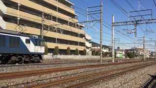EF64 1010 貨物列車通過【北大宮】