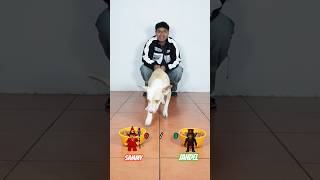 Sammy Or Jandel With My Dog